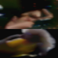 Swinger partner pregnant