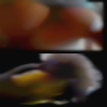 Swinger partner pregnant