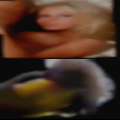 Swinger personal websites